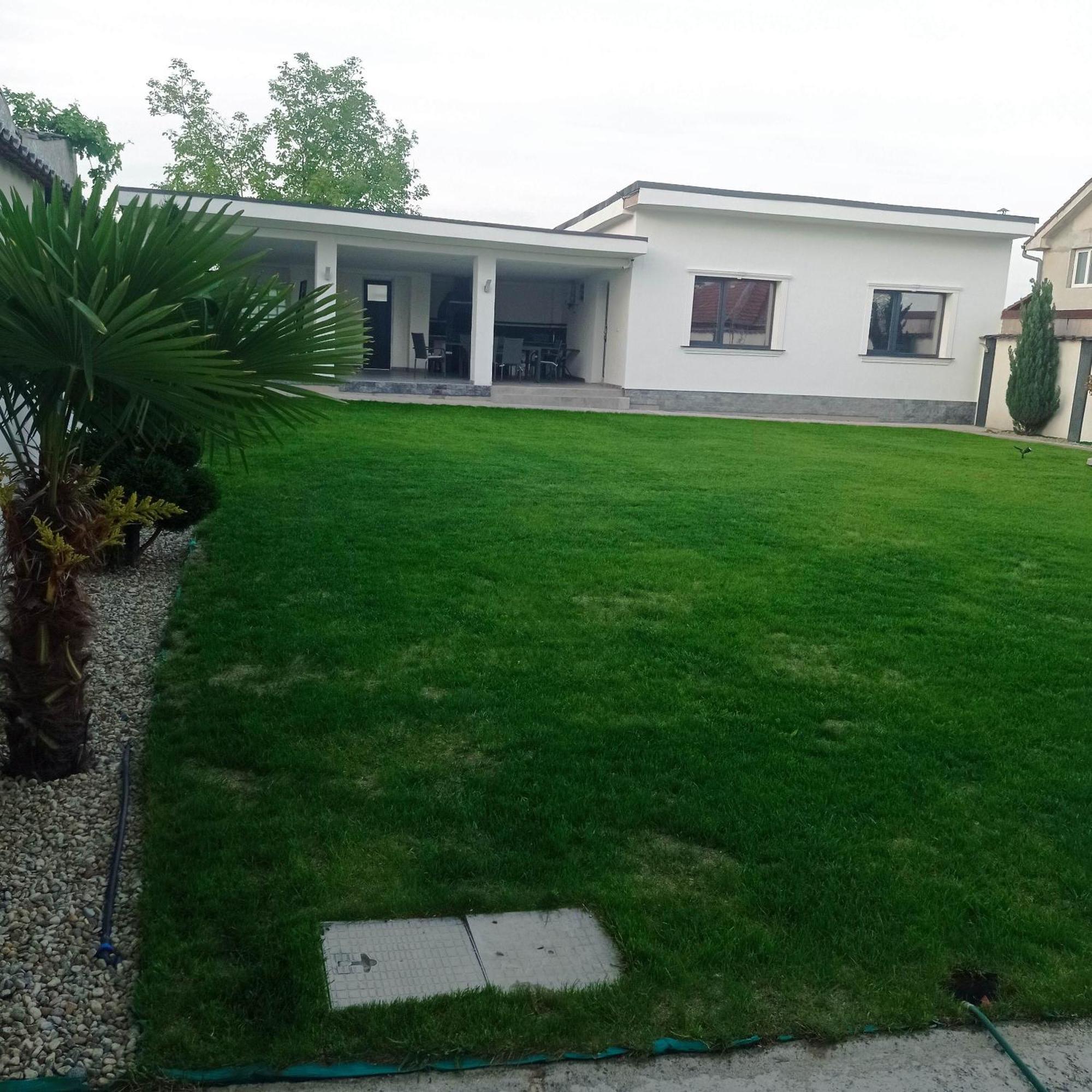 Casa Leahu Panzió Május 1. üdülő Kültér fotó